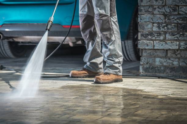 Best Building Exterior Washing  in Fox Lake, IL