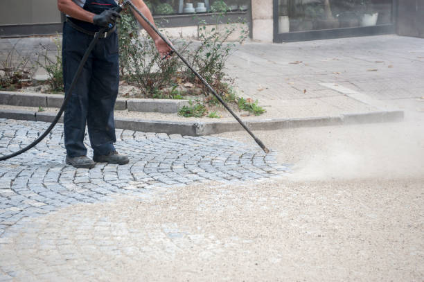 Best Pre-Holiday Cleaning  in Fox Lake, IL